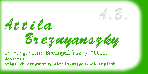 attila breznyanszky business card